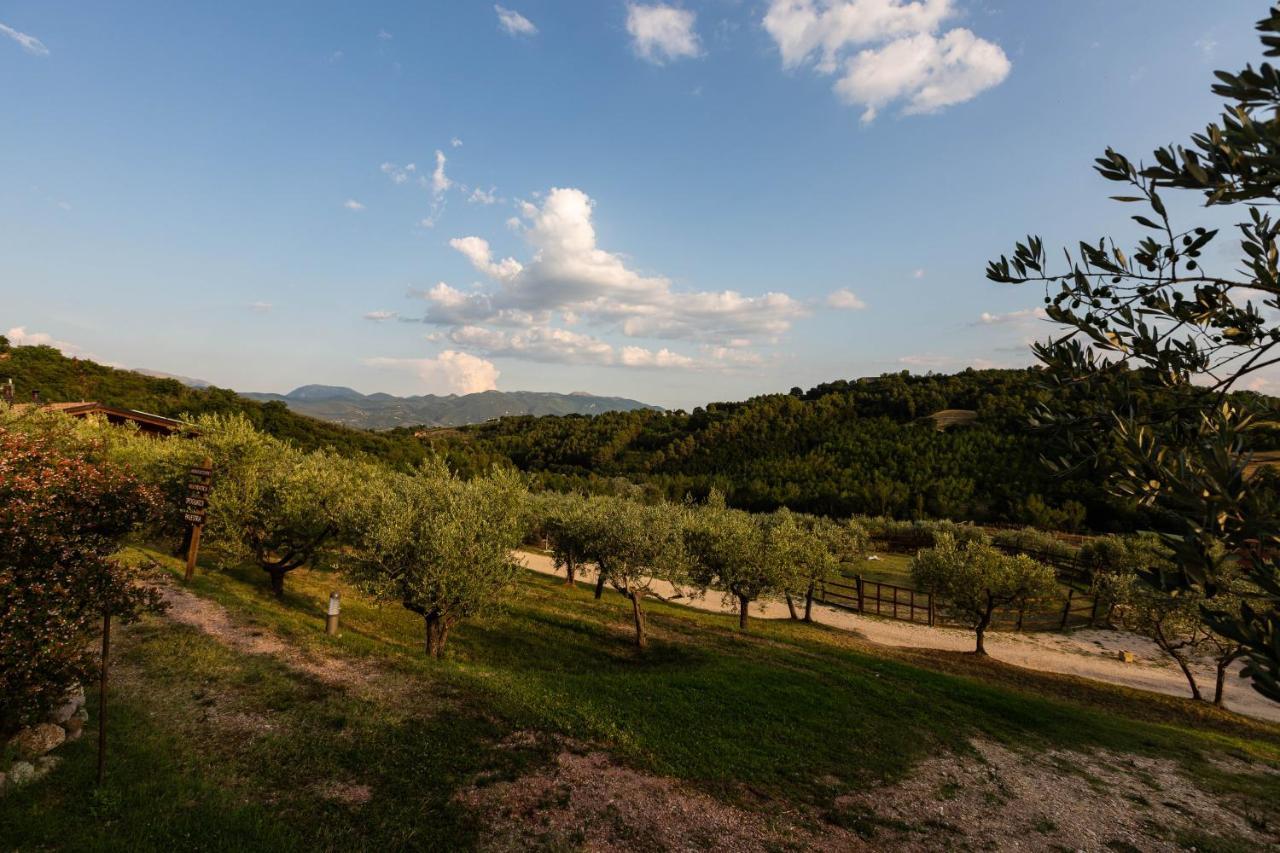 Agriturismo Agrileisuretime สโปเลโต ภายนอก รูปภาพ