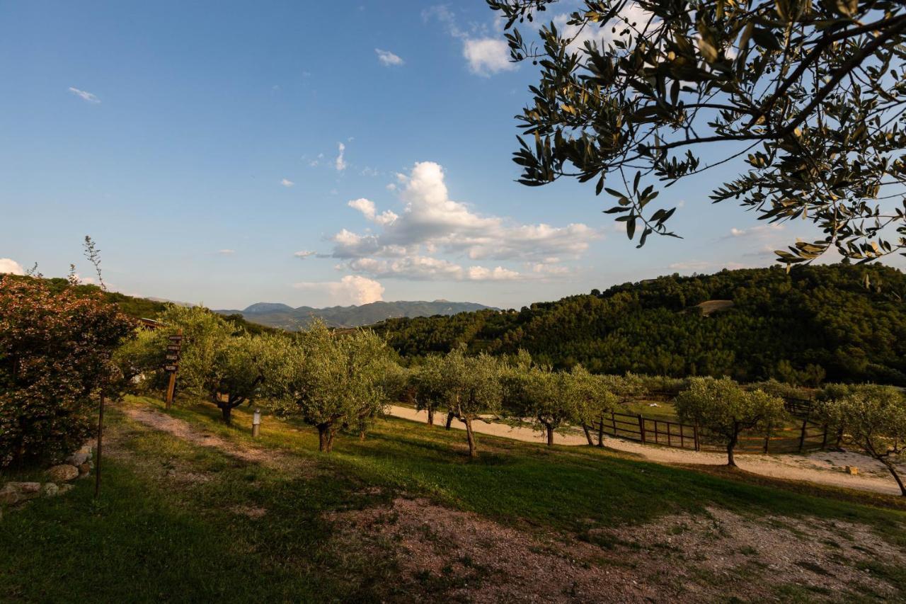 Agriturismo Agrileisuretime สโปเลโต ภายนอก รูปภาพ
