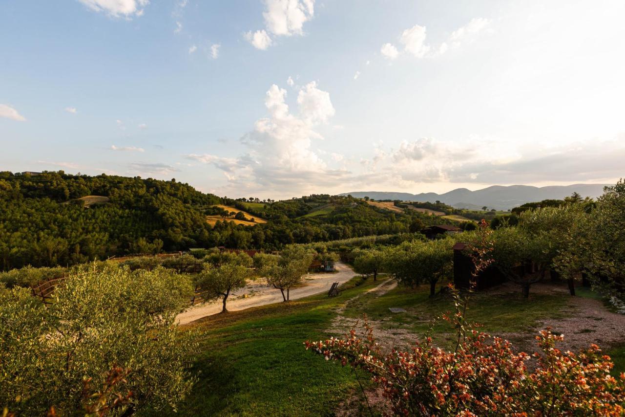 Agriturismo Agrileisuretime สโปเลโต ภายนอก รูปภาพ