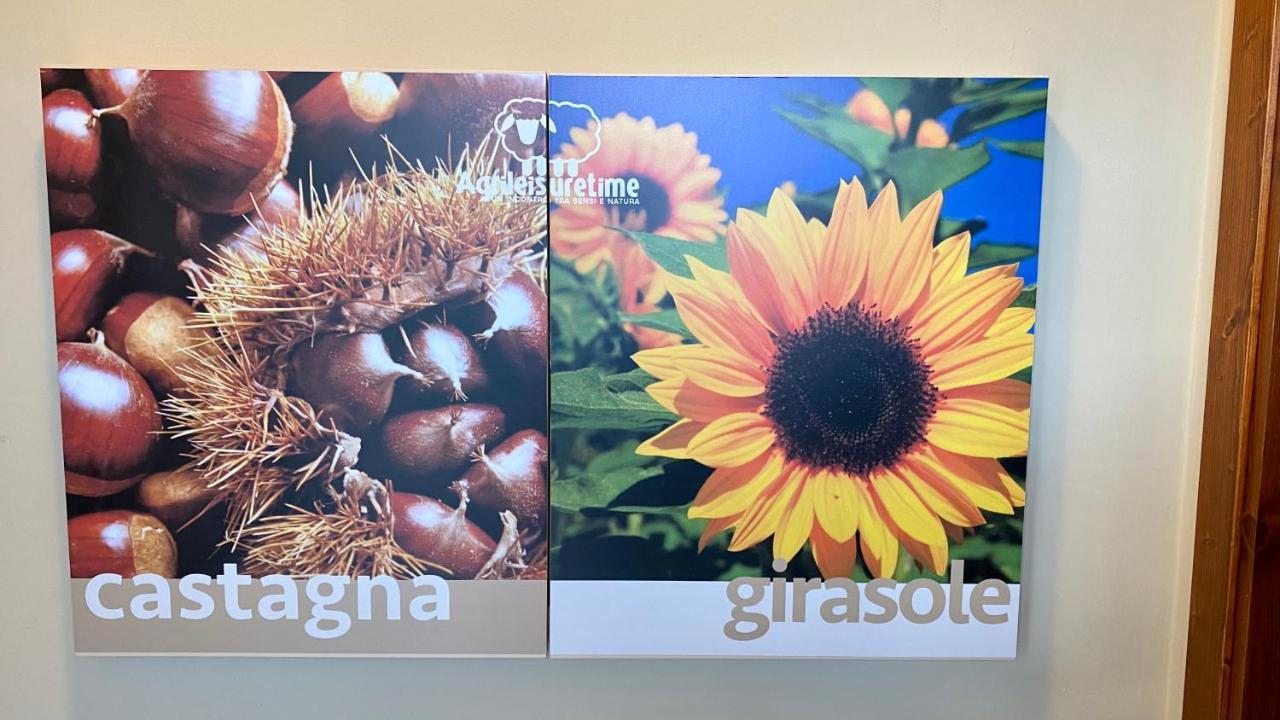 Agriturismo Agrileisuretime สโปเลโต ภายนอก รูปภาพ