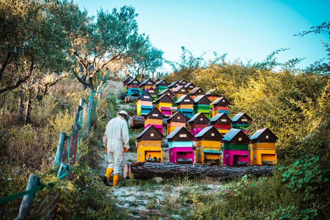 Agriturismo Agrileisuretime สโปเลโต ภายนอก รูปภาพ