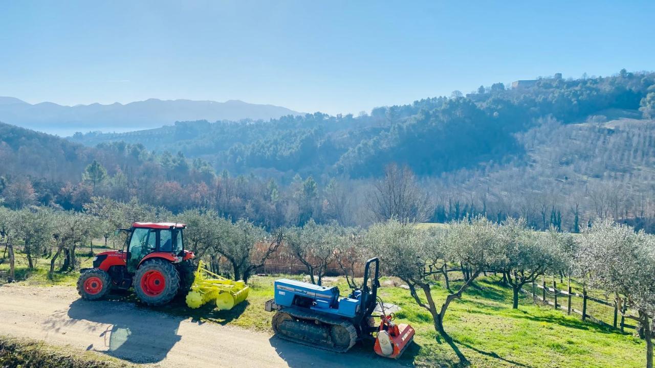 Agriturismo Agrileisuretime สโปเลโต ภายนอก รูปภาพ